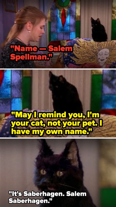 salem saberhagen|salem saberhagen human form.